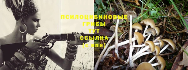 гашик Верхнеуральск